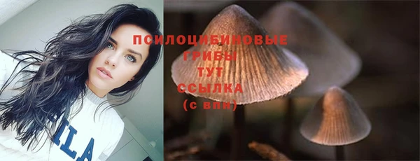 прущие крисы Абаза