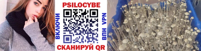 Галлюциногенные грибы GOLDEN TEACHER Каменка