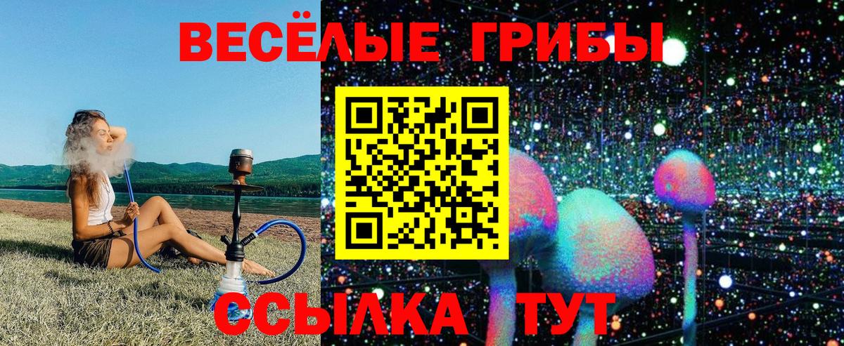 Псилоцибиновые грибы Psilocybine cubensis Каменка